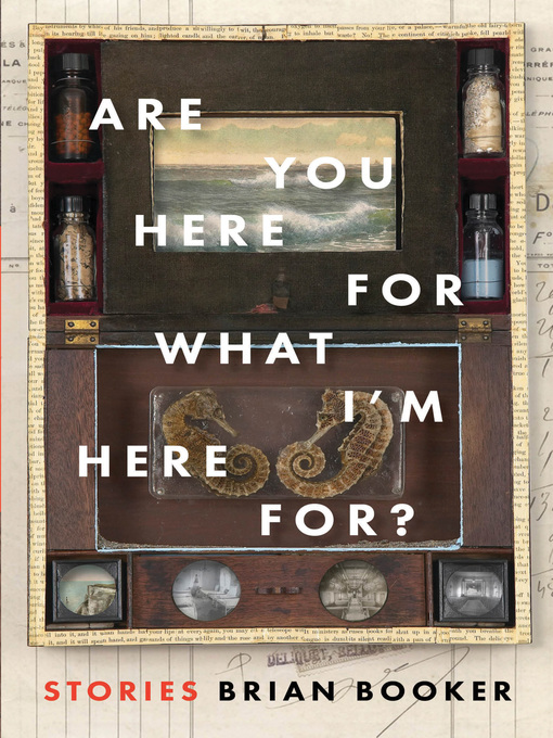 Title details for Are You Here For What I'm Here For? by Brian Booker - Available
